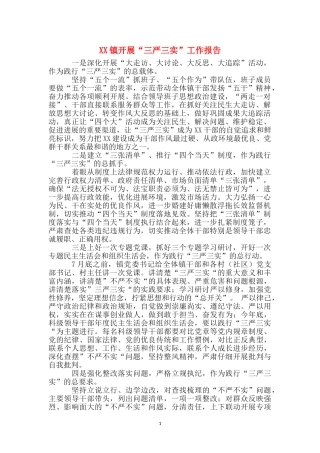 XX镇开展“三严三实”工作报告