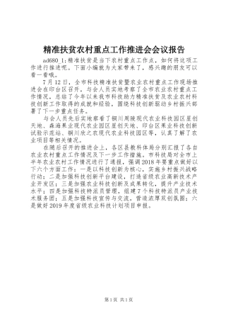 精准扶贫农村重点工作推进会会议报告