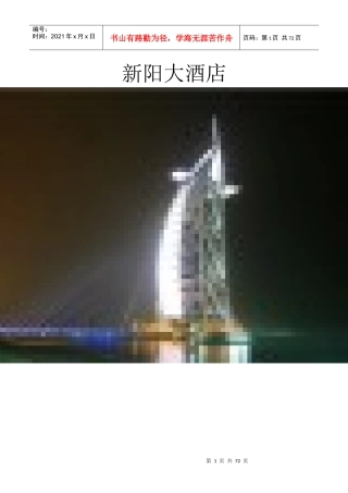 新阳大酒店战略规划书