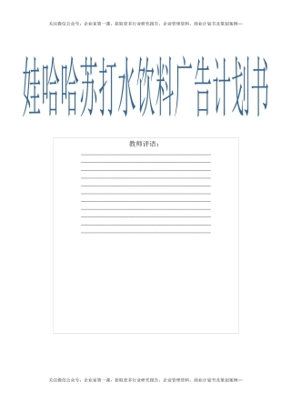 娃哈哈苏打水饮料广告计划书DOC(21页)