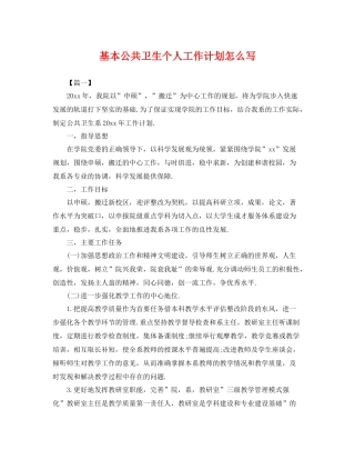 基本公共卫生个人工作计划怎么写 