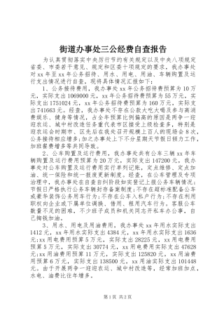 街道办事处三公经费自查报告