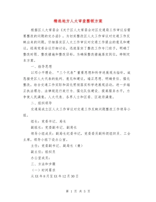 地方人大审查整顿方案