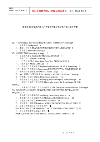 成都商业地产项目广告策划