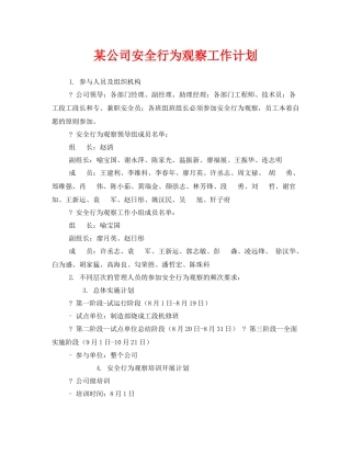 《安全管理文档》之某公司安全行为观察工作计划