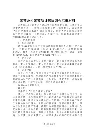 某某公司某某项目部协调会汇报材料