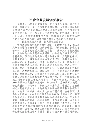 民营企业发展调研报告