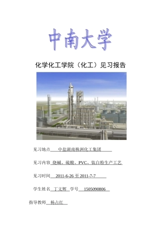 中南大学株洲化工厂见习报告