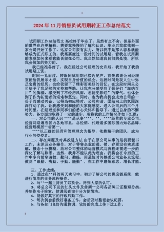 2017年11月销售员试用期转正工作总结范文