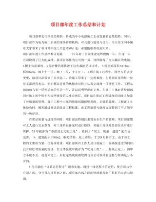 项目部年度工作总结和计划 