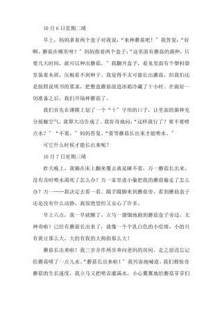 蘑菇生长日记1精选
