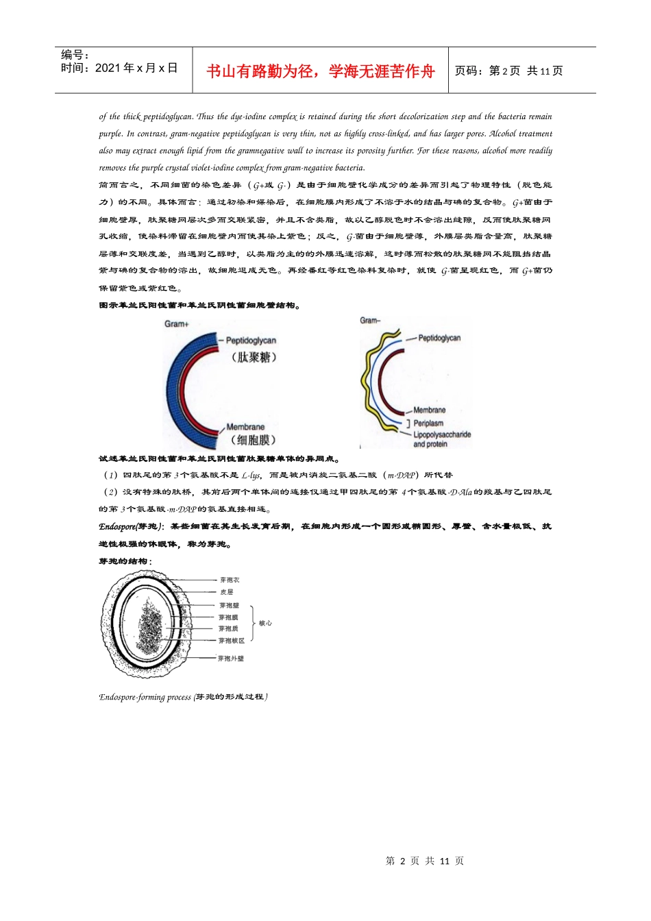 微生物学英文题库_第2页
