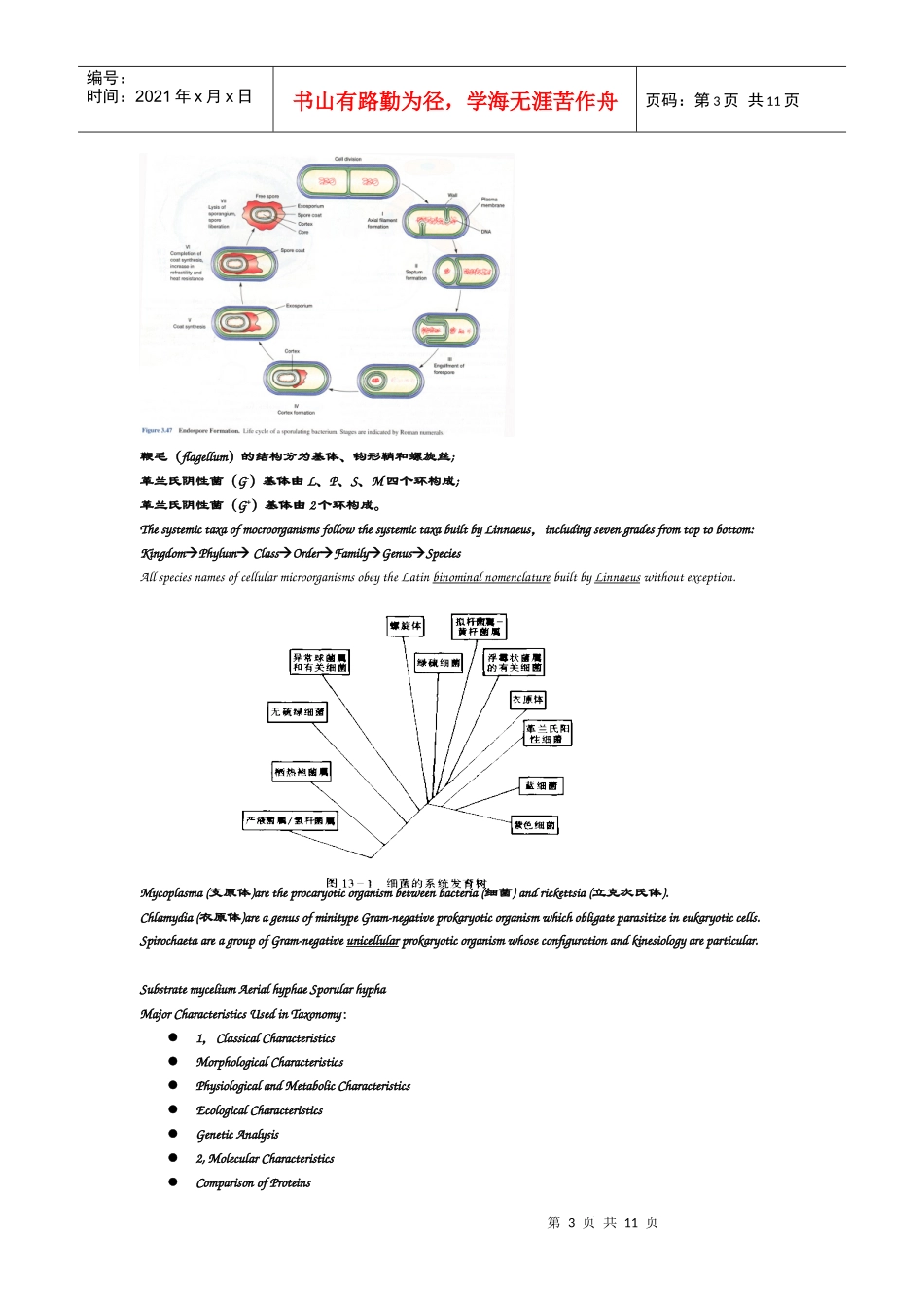 微生物学英文题库_第3页