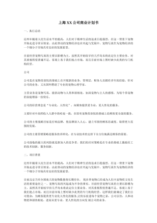 张发衡 上海XX公司商业计划书