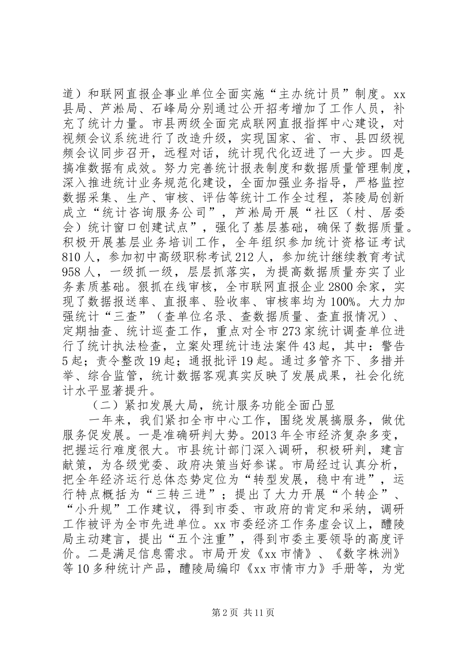 市统计工作总结报告材料_第2页