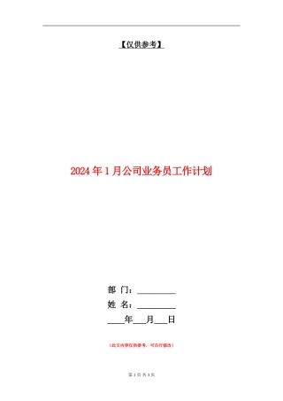 2024年1月公司业务员工作计划