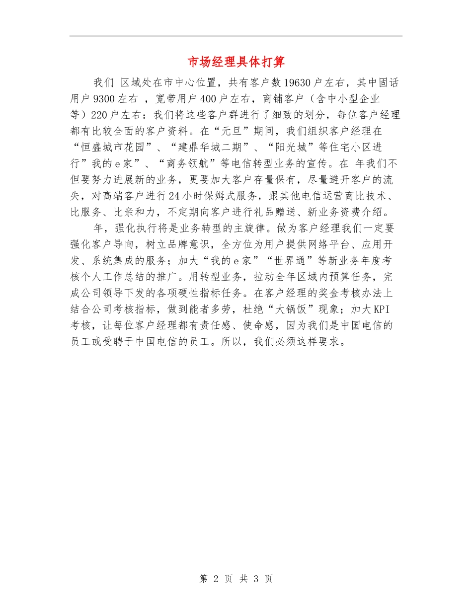 市场经理具体打算_第2页