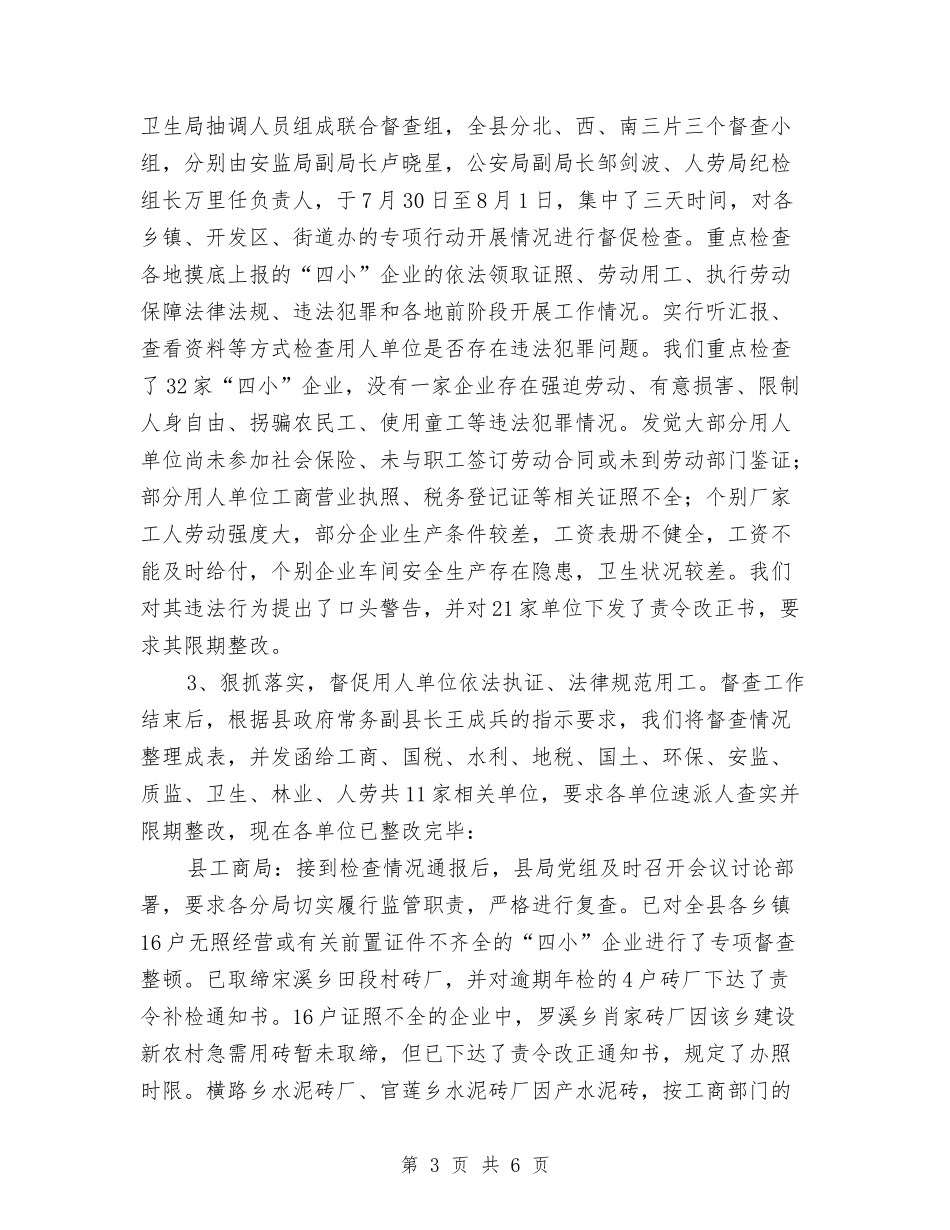查治非法用工情况报告_第3页