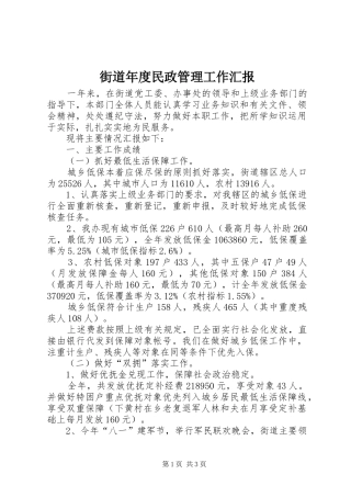 街道年度民政管理工作汇报