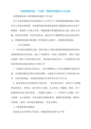 双重预防机制双重预防机制建设工作总结
