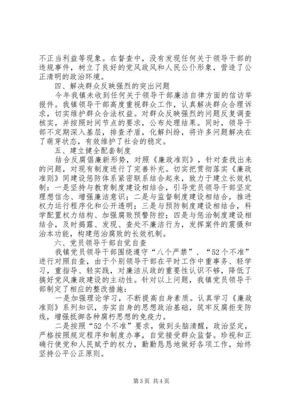 集中检务督察自查情况报告_第3页