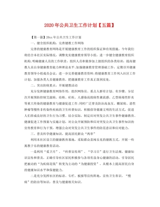 2020年公共卫生工作计划【五篇】 