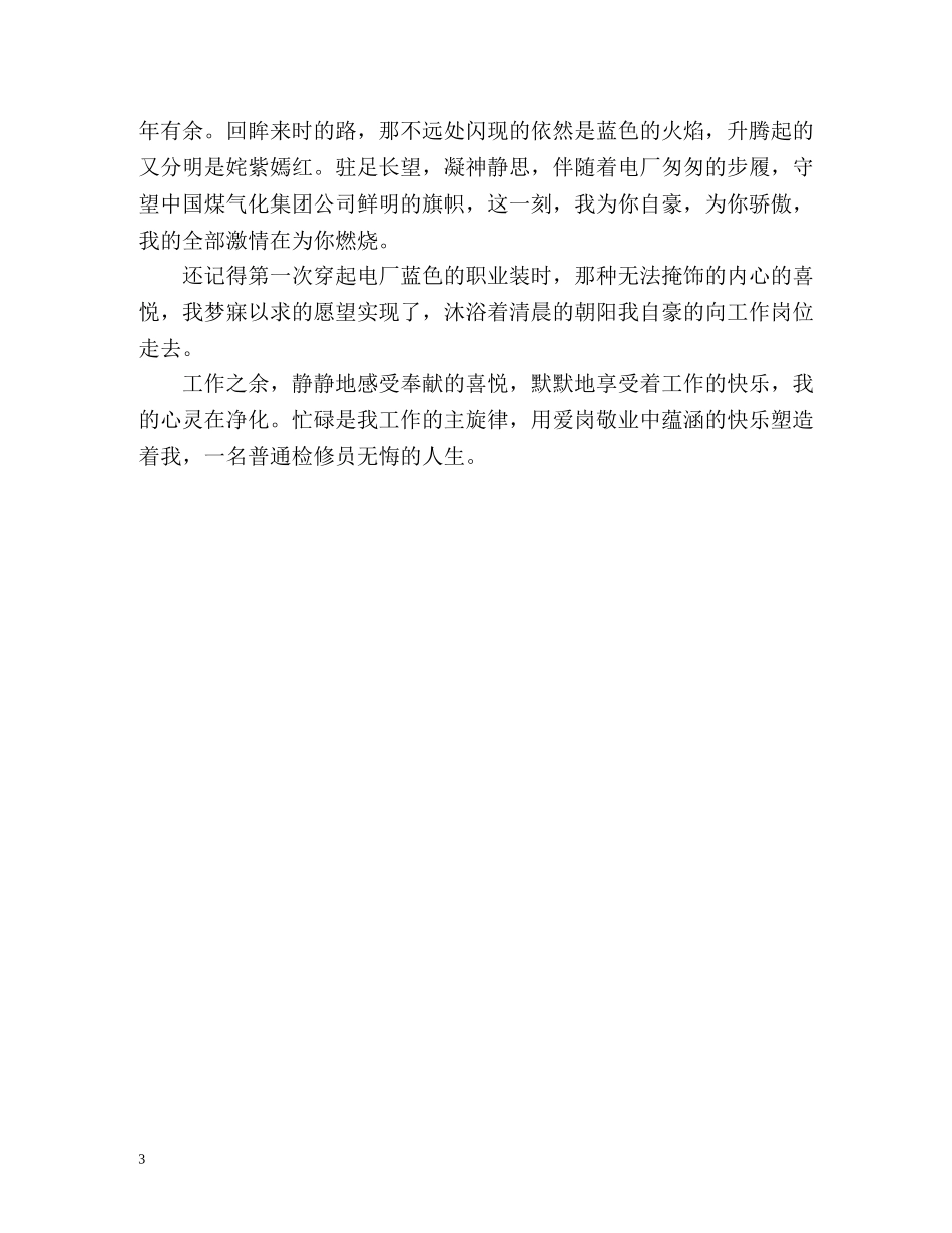 电厂个人年终总结 _第3页