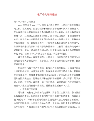 电厂个人年终总结 
