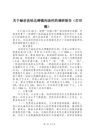 关于岫岩县哈达碑镇沟汤村的调研报告（打印稿）