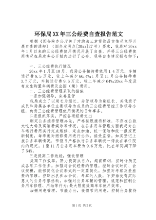 环保局XX年三公经费自查报告范文
