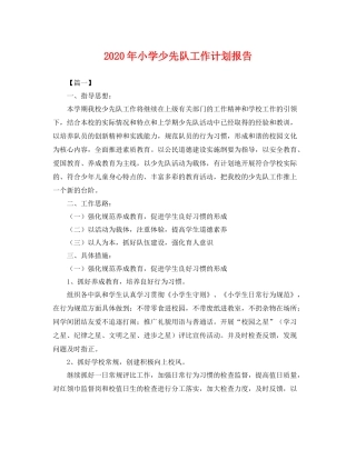 2020年小学少先队工作计划报告 