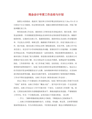 现金会计年度工作总结与计划 