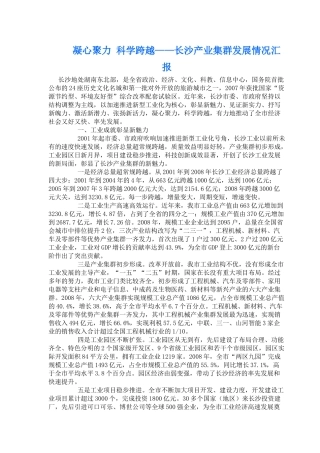 长沙产业集群发展情况汇报