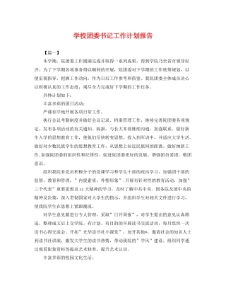 学校团委书记工作计划报告 