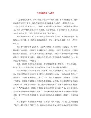 大学实践教学个人简介 