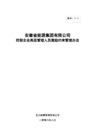 安徽省能源集团有限公司控股企业高层管理人员激励约