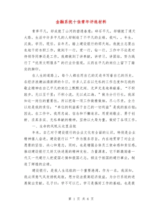 金融系统十佳青年评选材料