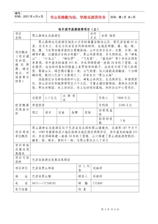哈尔滨市旅游招商项目（五）