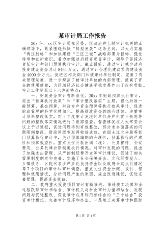 某审计局工作报告