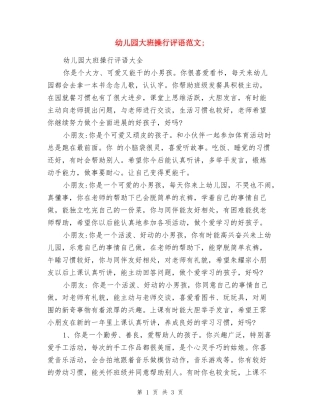 幼儿园大班操行评语范文