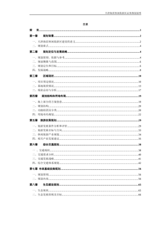天津海滨休闲旅游区总体规划说明书_91页