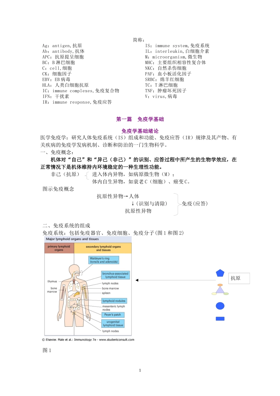 广州中医药大学药学免疫学12学时讲义_第2页
