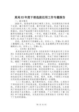 某局XX年度干部选拔任用工作专题报告