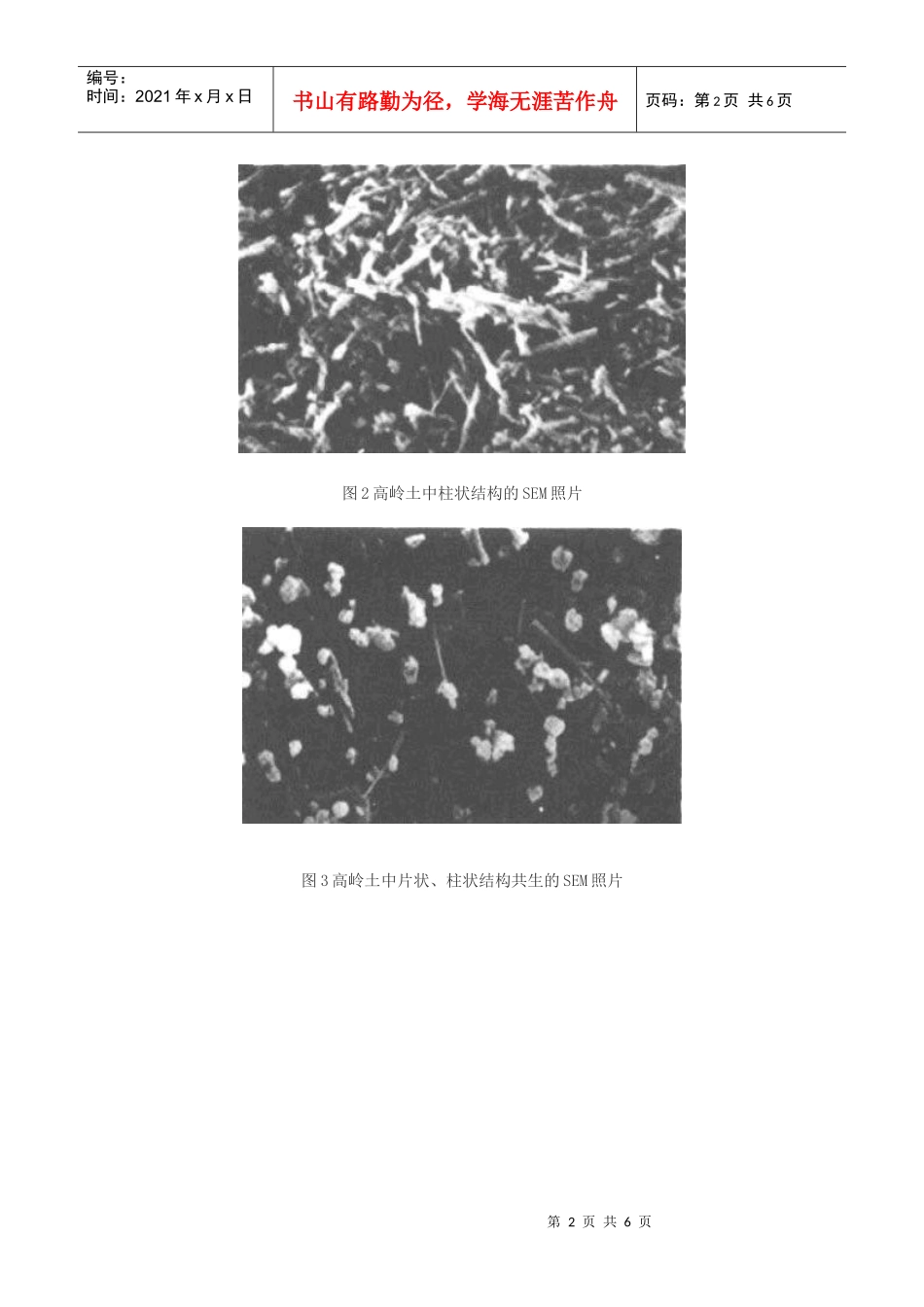 扫描电子显微镜在陶瓷材料中的应用_第2页