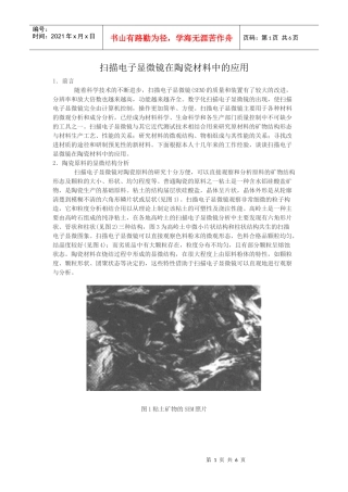 扫描电子显微镜在陶瓷材料中的应用