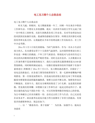 电工见习期个人自我总结 