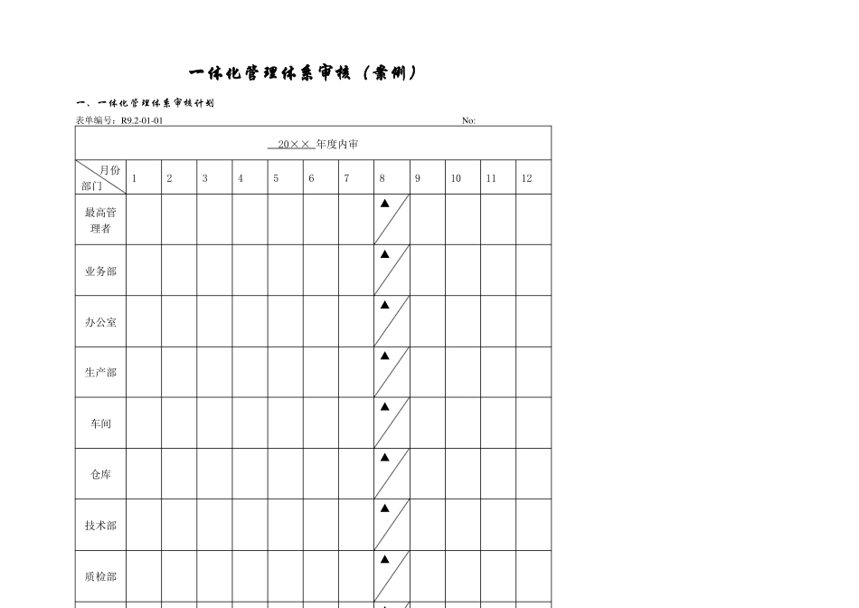 一体化管理体系审核案例_第2页