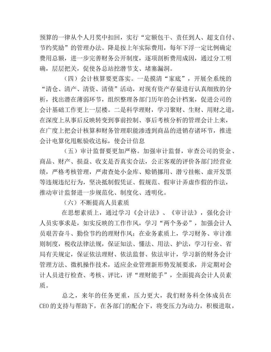 电子有限责任公司年度财务工作计划 _第2页