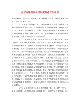 电子有限责任公司年度财务工作计划 