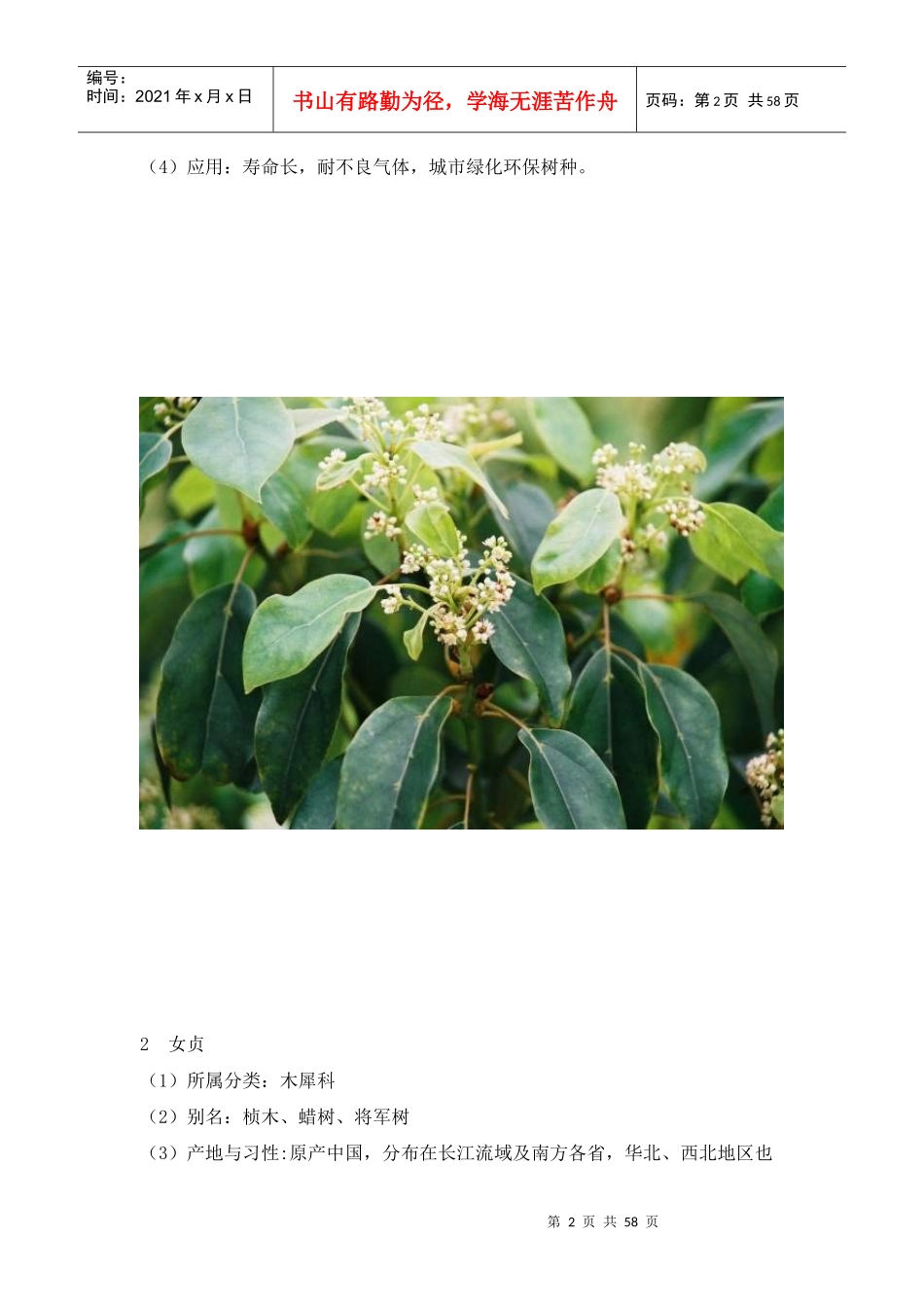 常见园林植物名录(附图片)_第2页